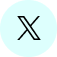 x-icon